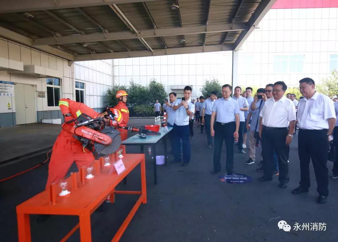 高效仓库杀虫方案，保障存储环境安全与卫生