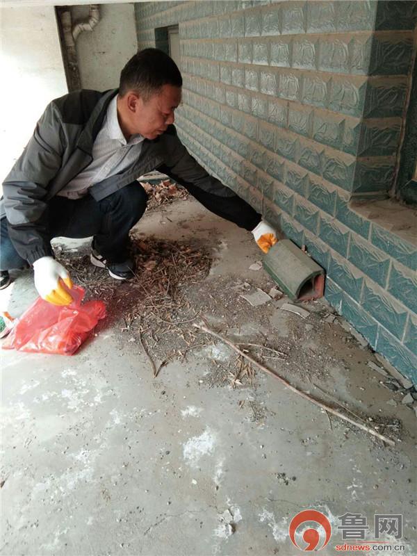 高效工厂杀鼠方案，保障生产安全与卫生环境
