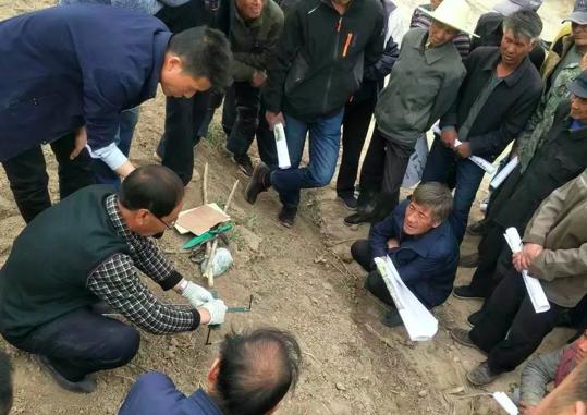 环保灭鼠技术，创新方法助力生态平衡与公共卫生